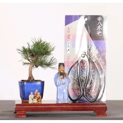 PIN MUGO SHOHIN 1-4