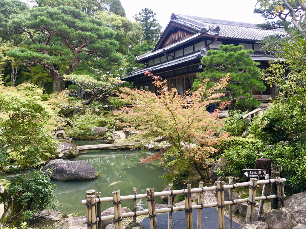 Jardin japonais avec érable, étang et petite clôture en bambou