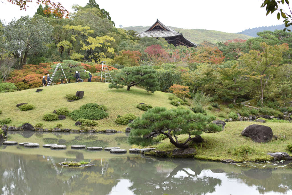 Jardin japonais de type paysage à Nara, au Japon