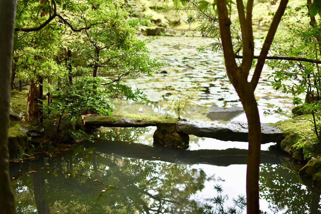 Pont en pierre au dessus d'un petit cours d'eau, dans un jardin japonais