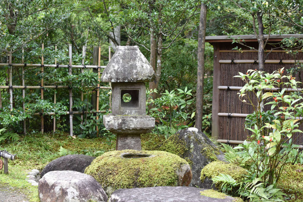Jardin de thé avec tsukubai et lanterne