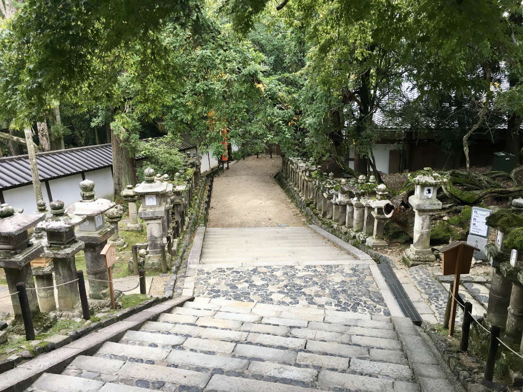 Série de lanternes en granit dans le sanctuaire KATSUGA à Nara 