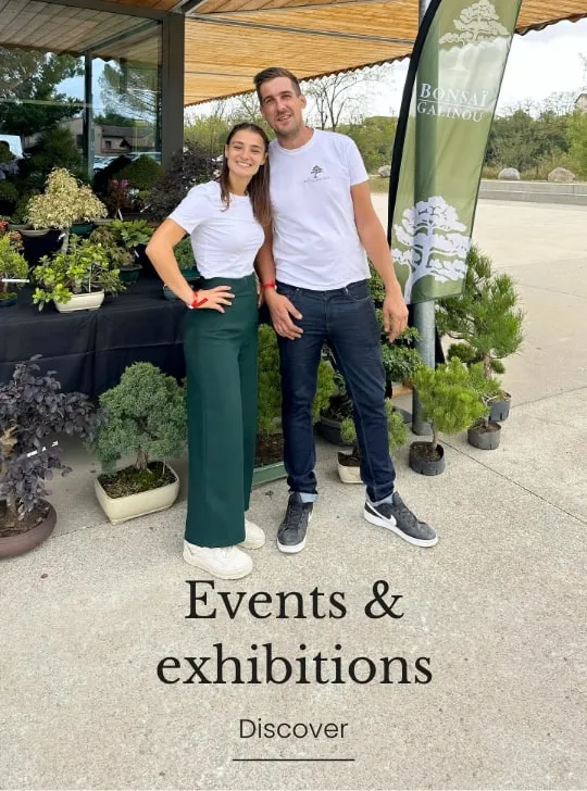 Events & exhibitions